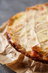 Fresh round fish pie on dark background