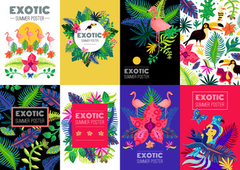 Exotic Tropical Colorful Banners Collection 
