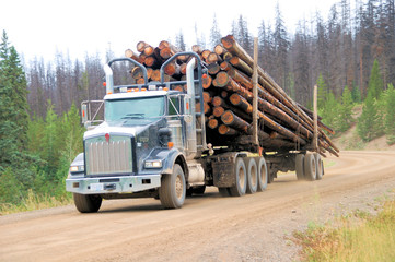 Hauling Pulpwood in British Columbia © Math Machines