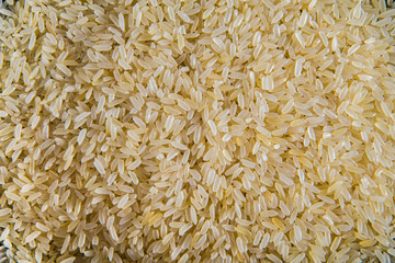 Extremely close-up. Rake of rice.