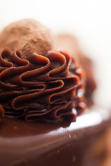 Closeup of a chocolate ganache swirl and truffle on top of a frosted chocolate cake.