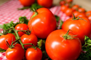 Many tomatoes are placed on a plaid tablecloth.