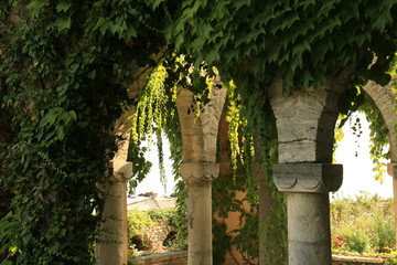Naklejka premium Highlights from the Botanical Garden in Balchik, Bulgaria