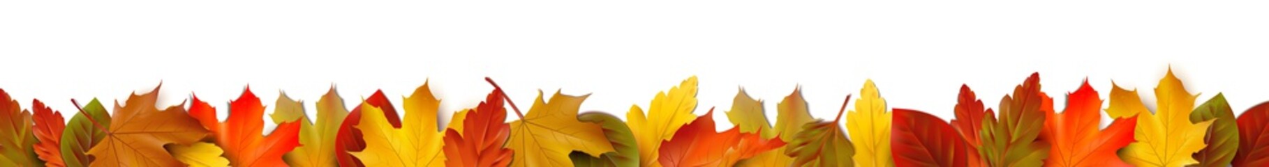 Bunte Herbstblätter - Bordüre Banner