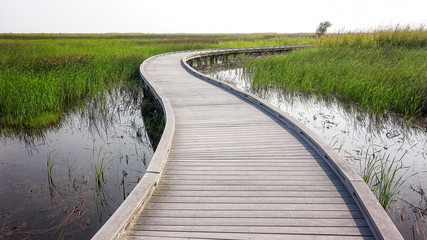 Boardwalk Through Marsh in Sabine National Wildlife Refuge in Louisiana - obrazy, fototapety, plakaty