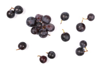 Dark grapes, isolated on white background, top view