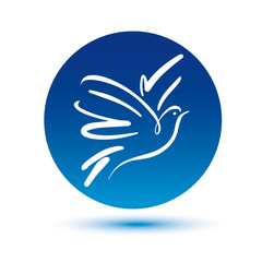 Dove vector logo template. Concept logo