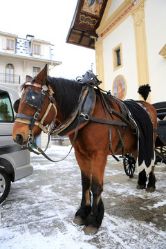 Cal&egrave;che fun&egrave;bre. Corbillard. Eglise Saint-Gervais et Saint-Protais. Saint-Gervais-les-Bains. / Funeral carriage. Hearse. Church of St. Gervais and St. Protais. Saint-Gervais-les-Bains. ..