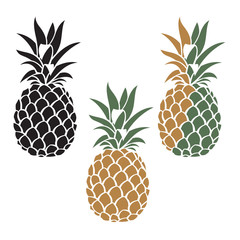 collection of pineapple tropical fruit images
