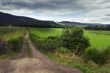 Dirt Road Leading to Farm House in Field