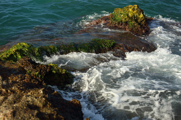 Beautiful sea wave background near the green rock shore and foam. Contrast colorful portrait