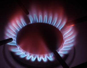 the gas burner