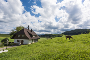 Typical Bavarian farm with pasture for cows, Germany
