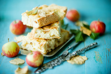 Homemade Organic Apple Pie Dessert Ready to Eat