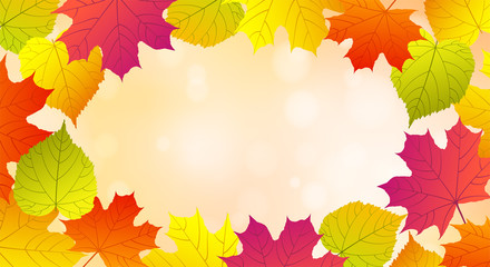 Autumn sunny background with colorful leaves.