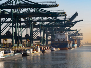 Harbor cranes unloading containers from ships on a sunny morning in the port of Antwerp.