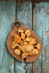 Raw forest mushrooms chanterelle on wooden plate on vintage turquoise background