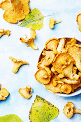 Fresh raw chanterelles, blue background, top view