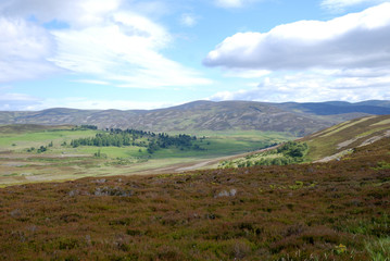 Fototapeta premium Through Scotland #2