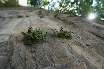 Wand Mauer Gebäude