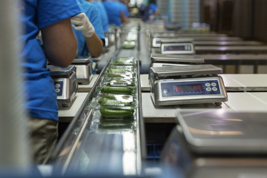 Packaging cucumbers