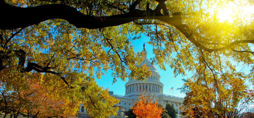 US Capital Building in Autumn, Washington, DC. 
