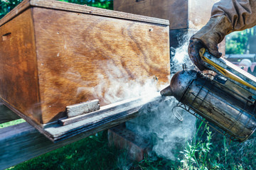 honey production and bees keeping