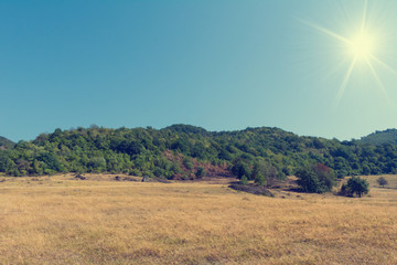 Obraz premium Summer landscape with dry grass and green hills a beautiful blue sky and a shining sun