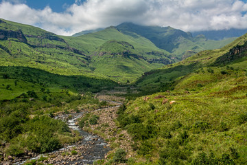 Fototapeta na wymiar South Africa Drakensberg valley