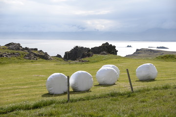 Rundballen auf Island