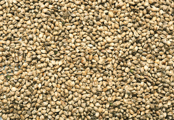 Hemp seeds as background