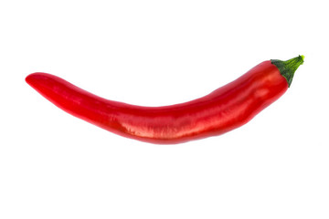 Red chili pepper isolated