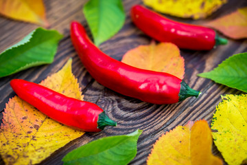 Red chili peppers on wooden table