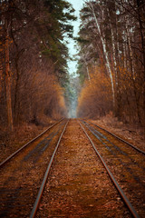 Fototapeta premium Tram rails in the autumn forest, vintage hipster background. Travel, freedom and hope concept.