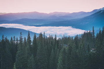 Obrazy na Szkle  Mglisty poranek krajobraz z pasmem górskim i lasem jodłowym w hipsterskim stylu retro vintage