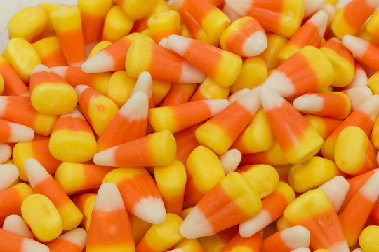 candy corn halloween fall colors isolated on white background
