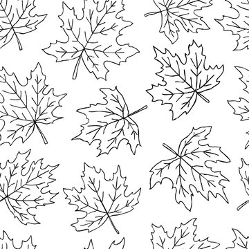 Beautiful seamless doodle pattern with black and white maple leaves sketch. design background greeting cards and invitations to the wedding, birthday, mother s day and other seasonal autumn holidays