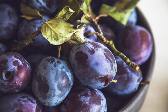 Plums in Bowl