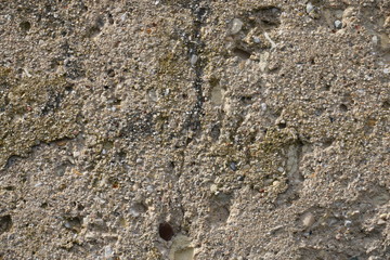 Farm Textures