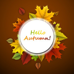 Hello autumn card with colorful leaves.