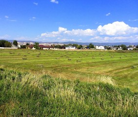 Where suburbia meets agriculture