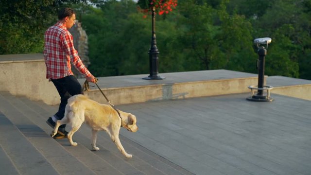 Boy with labrador dog on leash go downstairs park sundown rapid slow motion