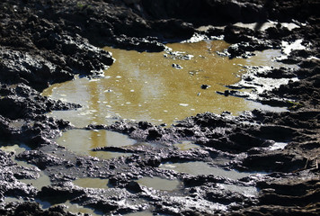 Dirty mud road with water