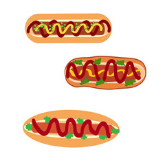 Hot dogs vector isolated on white background. Hot dog  for info graphic, website. Vector illustration.