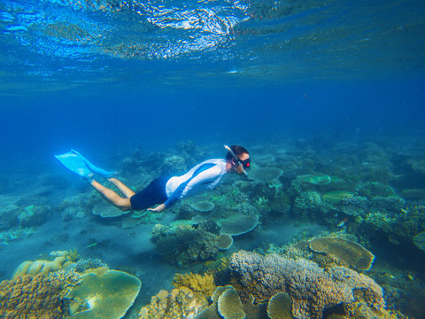 Young snorkel swims underwater. Male snorkel in tropical lagoon undersea photo.