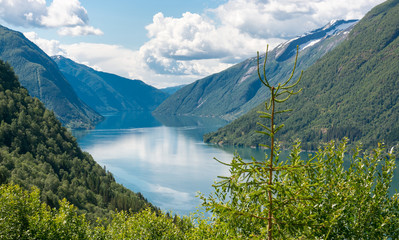 Fjord landscape scenery 