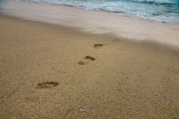 Footsteps on the beach