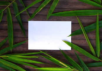 White paper card in bamboo leaf.