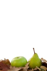 Close-up of pears with autumn leaves