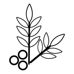 Spa eco leafs icon , outline style